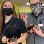 Pet Food Express launches “Kitten Season” awareness campaign