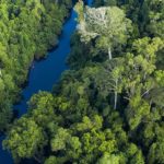 Nestlé to help protect and restore forest landscapes in Southeast Asia