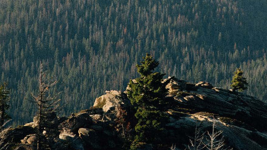 Ralph Lauren commits to achieving net-zero global GHG emissions