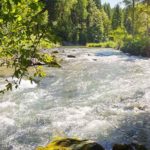 Nestlé Waters expands its current efforts to manage water sustainably