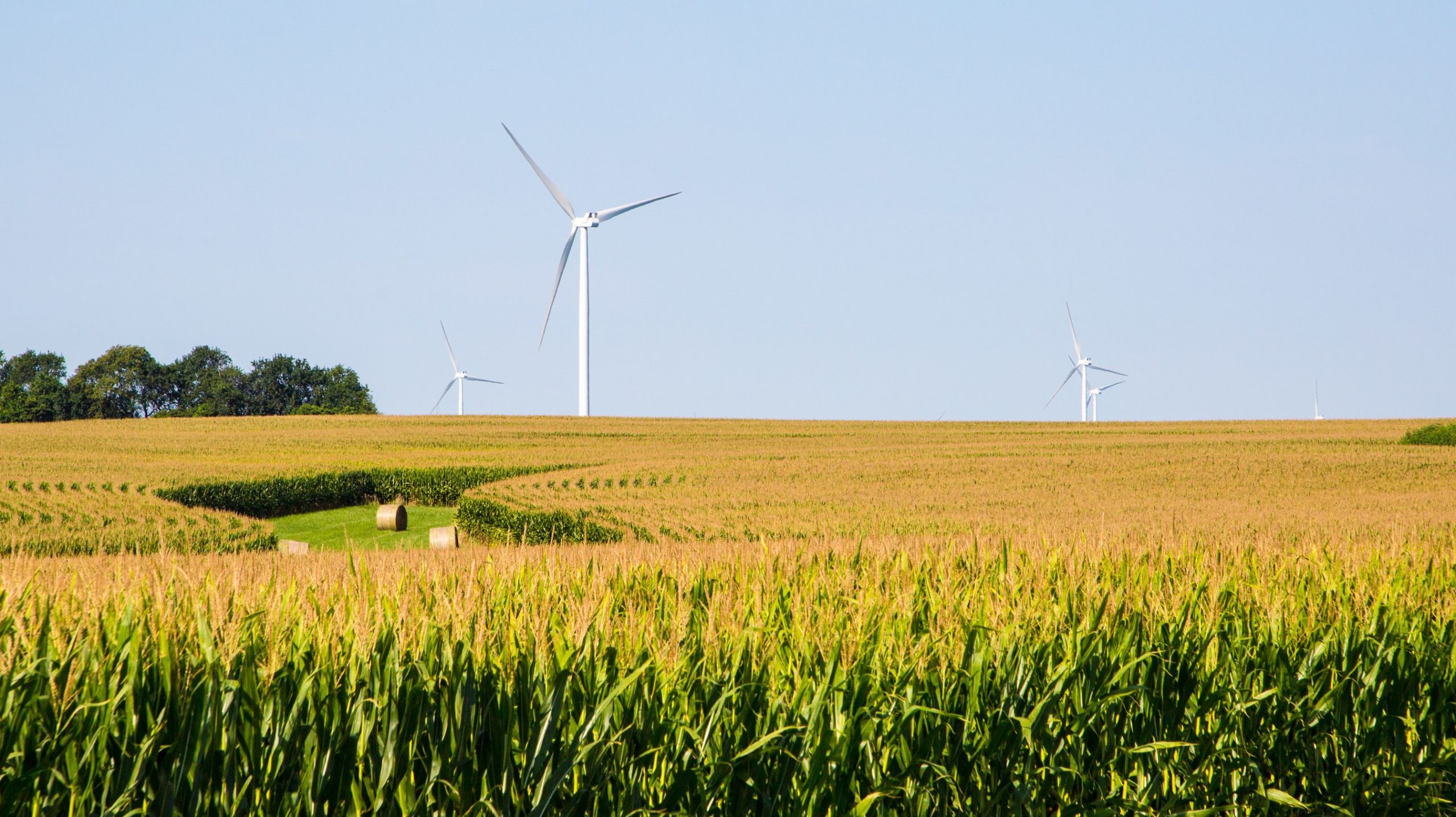 Mars announces 100% renewable electricity for 2,000 veterinary hospitals