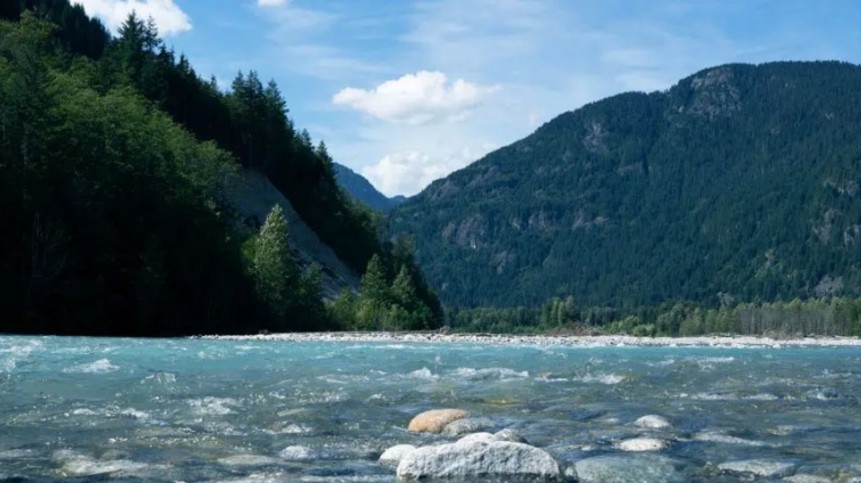 Coca-Cola and World Wildlife Fund celebrates 14 years of progress