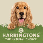 Harringtons Pet Food Re-Brand