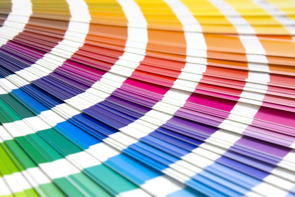 Choosing brand logo colours using colour swatches