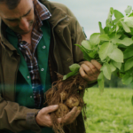 Walkers and VCCP London Demonstrate The Power of Love and Potatoes