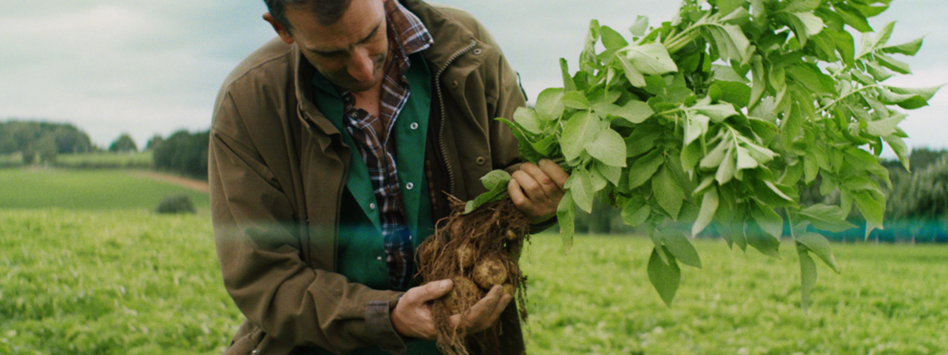 Walkers and VCCP London Demonstrate The Power of Love and Potatoes