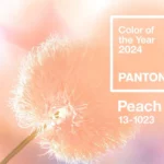 Pantone Unveils ‘Peach Fuzz’ as the 2024 Color of the Year
