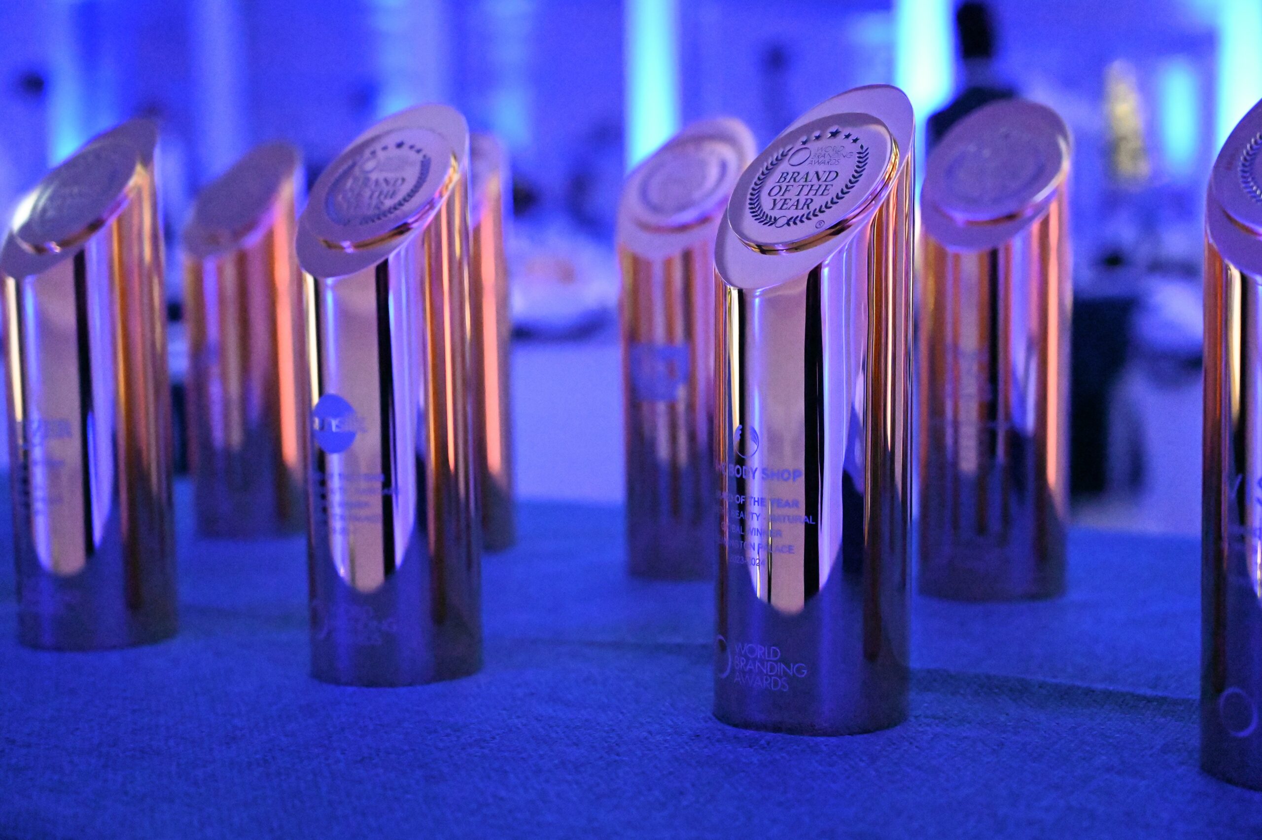 Spotlight on Success: A Recap of the 2023-2024 World Branding Awards