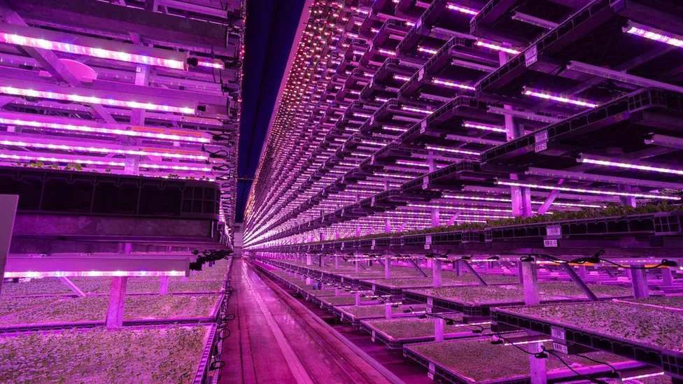 Vertical Indoor Farm - Jones Food Company