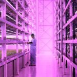 Jones Food Company’s New Indoor Farm Is One of the Most Advanced in the UK