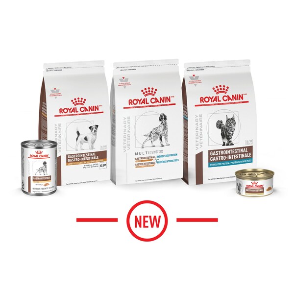ROYAL CANIN Expands Veterinary Gastrointestinal Portfolio to Enhance Pet Health Nutrition