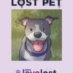 Petco Love Launches Animated Campaign to Help Lost Pets Find Their Way Home