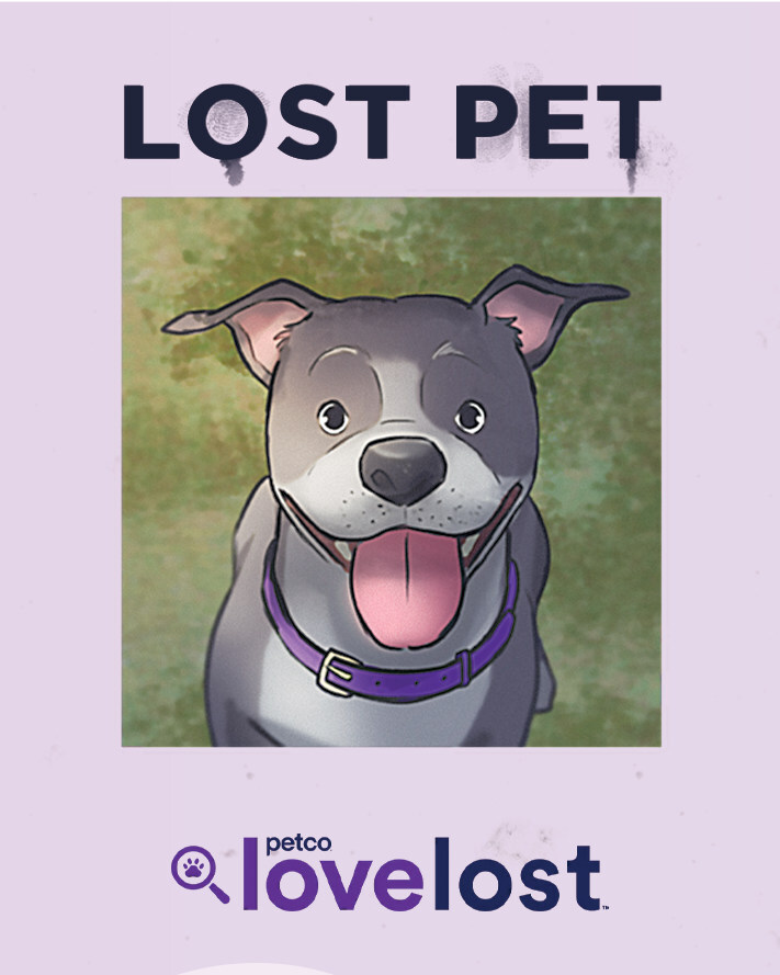 Petco Love Launches Animated Campaign to Help Lost Pets Find Their Way Home