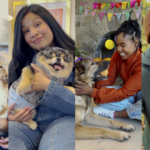 Petcare Leader Hartz & Cutwater Confess the Biggest Secrets of Pet Owners in a New Campaign