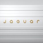 Jaguar Rebranding: A Risky Move or a Stroke of Genius?