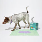 Next-Level Dog Care: Pet Life Unlimited’s Smart Pad Tracks Your Pup’s Health