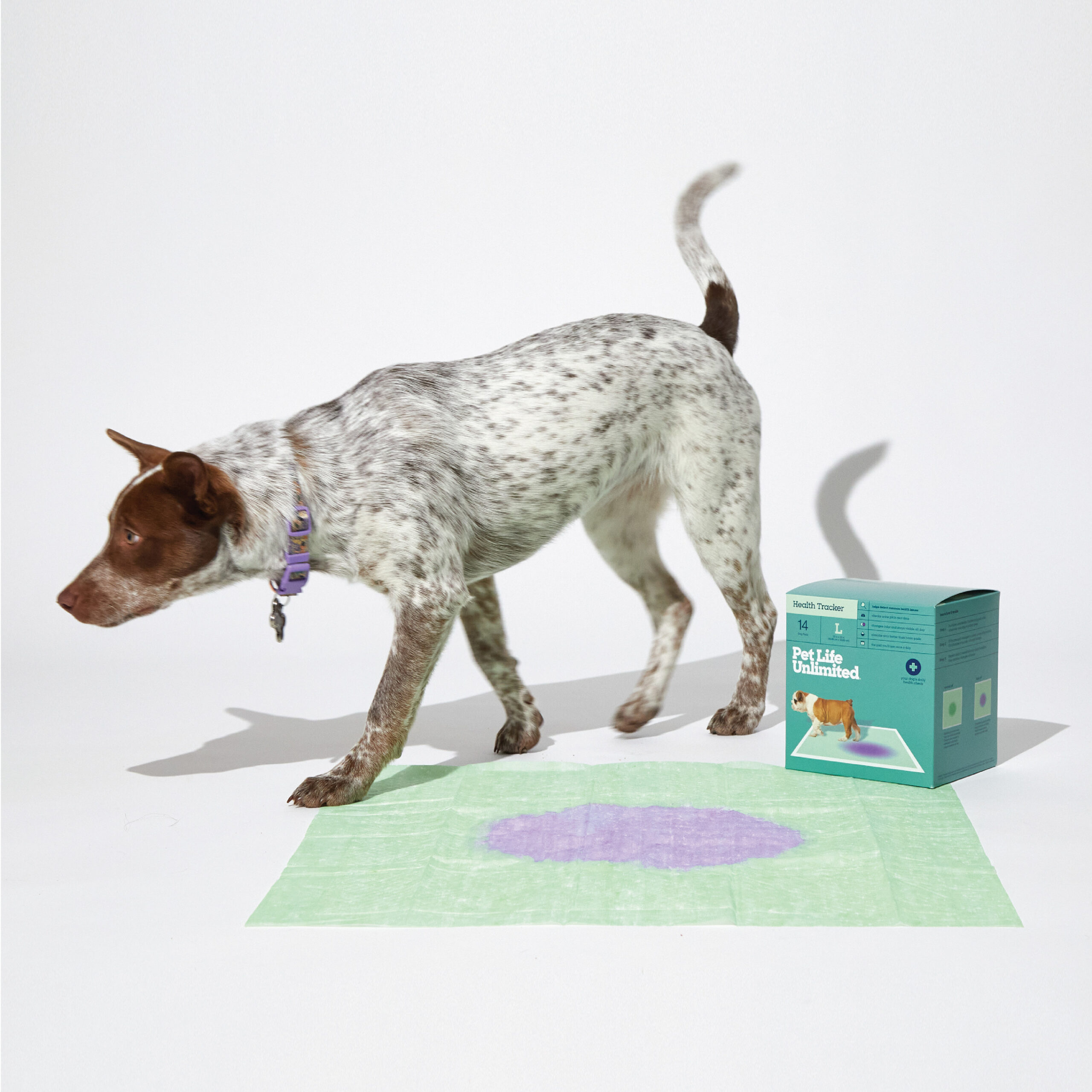 Next-Level Dog Care: Pet Life Unlimited’s Smart Pad Tracks Your Pup’s Health