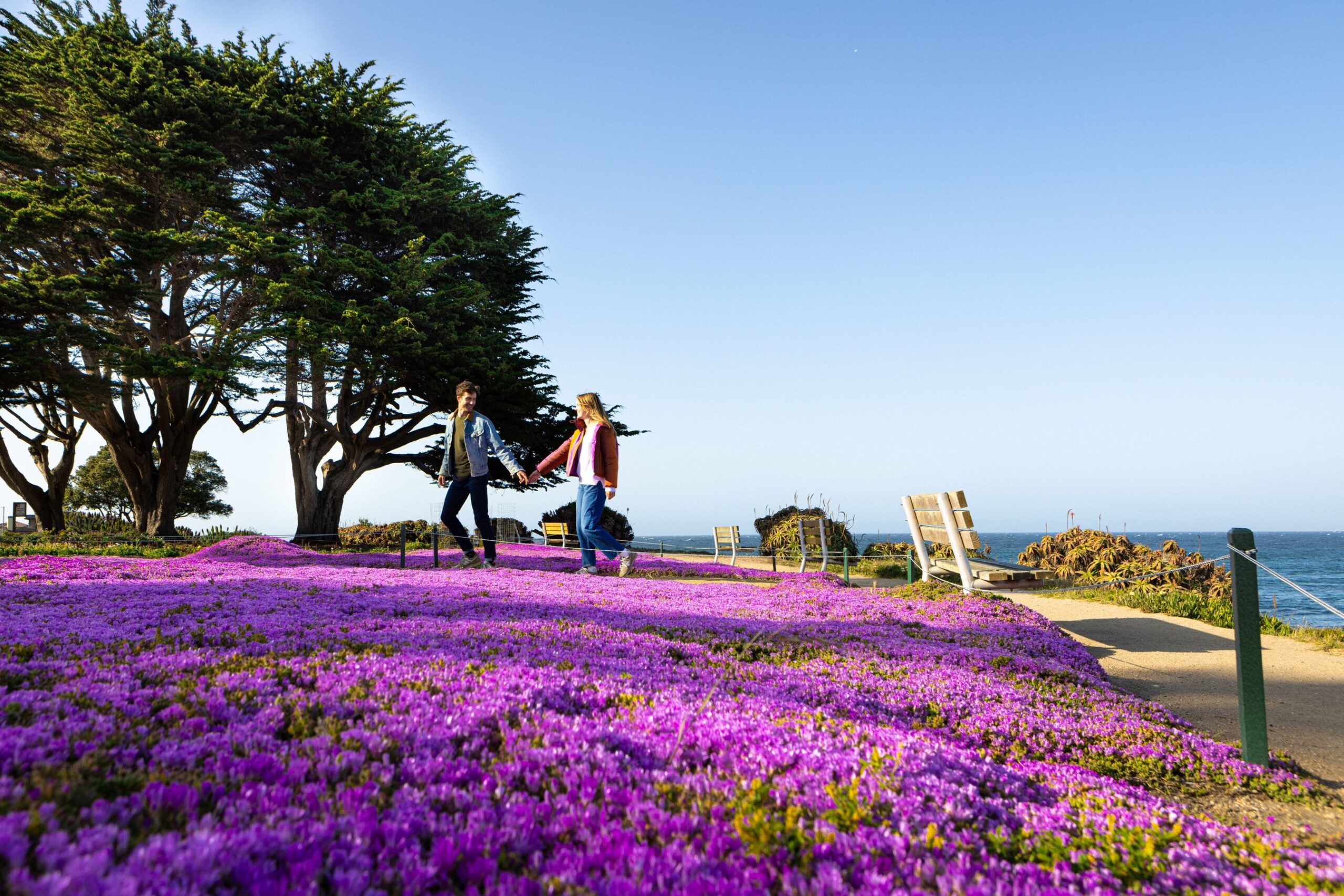 Spring into Adventure: Monterey Beckons with Outdoor Escapes