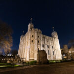 A Look Back at the 2024-2025 World Branding Awards