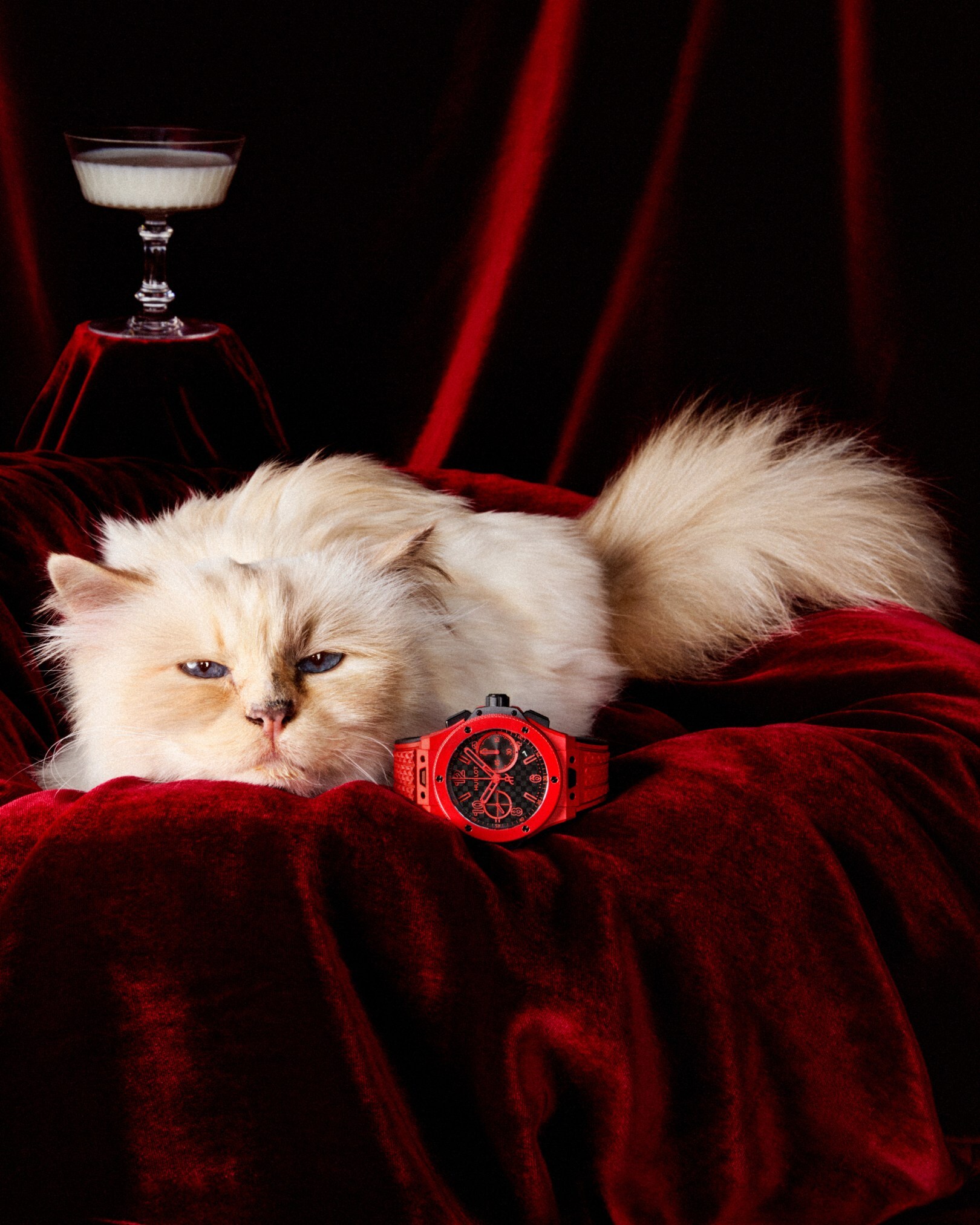 Hublot Big Bang 20th Anniversary Red Magic and Choupette. Image source: Hublot