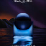 Drake Debuts New Fragrance ‘Summer Mink’ Eau de Parfum