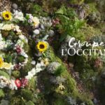 Sustainable Beauty at Its Core: L’OCCITANE Group Leads by Example