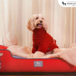 Winter Warmth for Pets, Crafted by Heads Up For Tails
