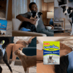 Hartz Comfitables: Empowers Dogs with Potty Problems