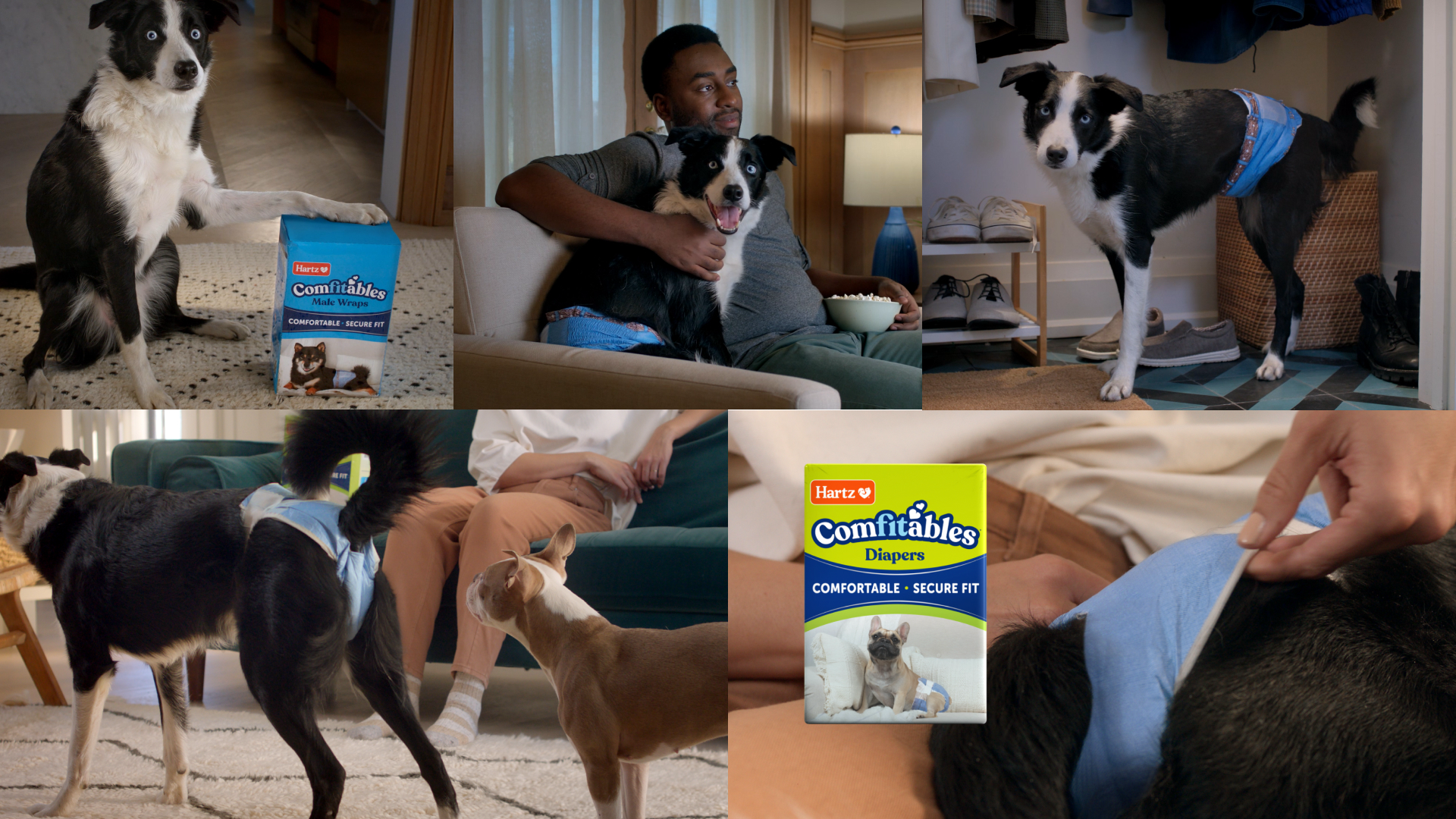 Hartz Comfitables: Empowers Dogs with Potty Problems